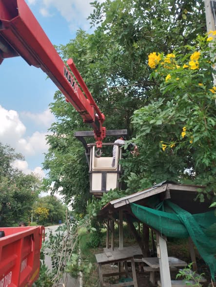 🌳🚧 พัฒนาหมู่บ้าน...เพื่อความปลอดภัยของทุกคนในชุมชน
🗓 วันพฤหัสบดีที่ 2 ตุลาคม 2568
องค์การบริหารส่วนตำบลสายทอง
โดยการนำของ นายสมศักดิ์ นิ่มพงษ์ นายกองค์การบริหารส่วนตำบลสายทอง
ได้มอบหมายให้เจ้าหน้าที่ กองช่าง ลงพื้นที่ร่วมดำเนินการ
✂️ ตัดแต่งกิ่งไม้ริมทาง บริเวณ หมู่ที่ 1 และหมู่ที่ 8 ตำบลสายทอง