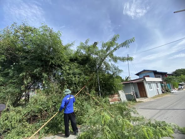 🌳🚧 พัฒนาหมู่บ้าน...เพื่อความปลอดภัยของทุกคนในชุมชน
🗓 วันอังคารที่ 7 ตุลาคม 2568
องค์การบริหารส่วนตำบลสายทอง
โดยการนำของ นายสมศักดิ์ นิ่มพงษ์ นายกองค์การบริหารส่วนตำบลสายทอง
ได้มอบหมายให้เจ้าหน้าที่ กองช่าง ลงพื้นที่ร่วมดำเนินการ
✂️ ตัดแต่งกิ่งไม้ริมทาง บริเวณ หมู่ที่ 1 ตำบลสายทอง