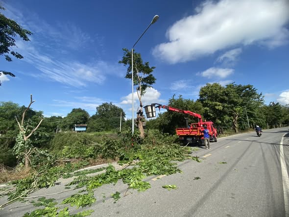 🌳🚧 พัฒนาหมู่บ้าน...เพื่อความปลอดภัยของทุกคนในชุมชน
🗓 วันพุธที่ 15 ตุลาคม 2568
องค์การบริหารส่วนตำบลสายทอง
โดยการนำของ นายสมศักดิ์ นิ่มพงษ์ นายกองค์การบริหารส่วนตำบลสายทอง
ได้มอบหมายให้เจ้าหน้าที่ กองช่าง ลงพื้นที่ร่วมดำเนินการ
✂️ ตัดแต่งกิ่งไม้ริมทาง บริเวณ หมู่ที่ 5 ตำบลสายทอง