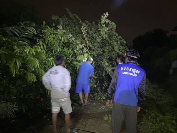 วันอาทิตย์ที่ 2 พฤศจิกายน 2568
องค์การบริหารส่วนตำบลสายทอง
โดยนายสมศักดิ์ นิ่มพงษ์ นายกองค์การบริหารส่วนตำบลสายทอง ได้มอบหมายให้เจ้าหน้าที่ ดำเนินการเคลื่อนย้ายต้นไม้กิ่งไม้ที่หักโค่นล้มขวางทางการจราจรในบริเวณหมู่ที่ 4 ตำบลสายทอง เพื่อให้ประชาชนสามารถใช้เส้นทางได้สะดวกเช่นเดิม