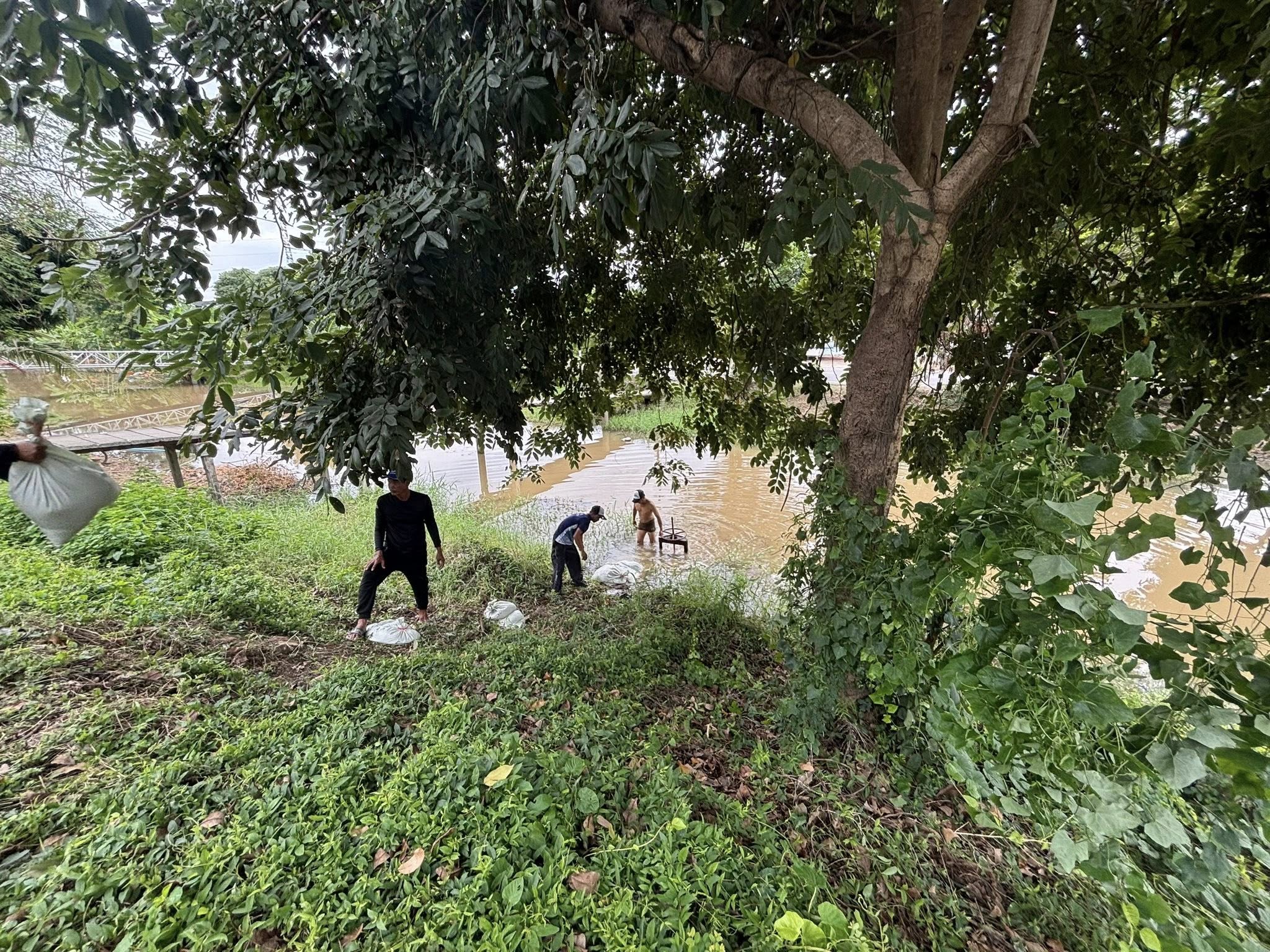 วันศุกร์ที่ 7 พฤหัสบดี 2568
องค์การบริหารส่วนตำบลสายทอง
โดยนายสมศักดิ์ นิ่มพงษ์ นายกองค์การบริหารส่วนตำบลสายทอง พร้อมด้วย สมาชิกสภาองค์การบริหารส่วนตำบลสายทองหมู่ที่ 8 ลงพื้นที่ นำพนักงานกองช่าง อุดท่อระบายน้ำเพื่อไม่ให้น้ำไหลเข้าท่วมบ้านเรือนประชาชน และพื้นที่การเกษตร ซึ่งอาจจะส่งผลให้ประชาชนและเกษตรกรได้รับความเดือดร้อน