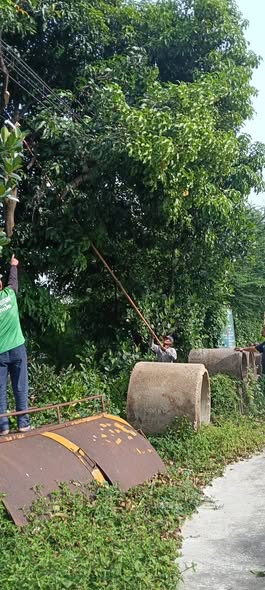 🌳🚧 พัฒนาหมู่บ้าน...เพื่อความปลอดภัยของทุกคนในชุมชน
🗓 วันพุธที่ 26 ตุลาคม 2568