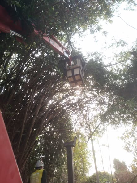 🌳🚧 พัฒนาหมู่บ้าน...เพื่อความปลอดภัยของทุกคนในชุมชน
🗓 วันพุธที่ 18 กุมภาพันธ์ 2569
องค์การบริหารส่วนตำบลสายทอง
โดยการนำของ นางสาวอรสา ทองเจือ ปลัดองค์การบริหารส่วนตำบสายทอง รักษาราชการแทน นายกองค์การบริหารส่วนตำบลสายทอง ได้มอบหมายให้เจ้าหน้าที่ กองช่าง ลงพื้นที่ร่วมดำเนินการ