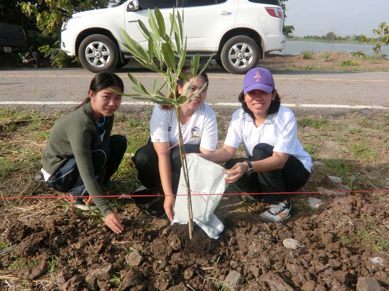 โครงการ ปรับปรุงภูมิทัศน์ตำบลสายทอง ณ อุทยานสวรรค์อ่างทองหนองเจ็ดเส้น